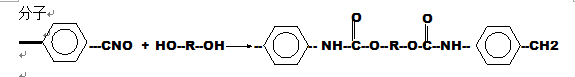 分子