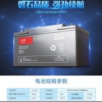 山特蓄電池12V200AH城堡C12-200鉛酸免維護監(jiān)控